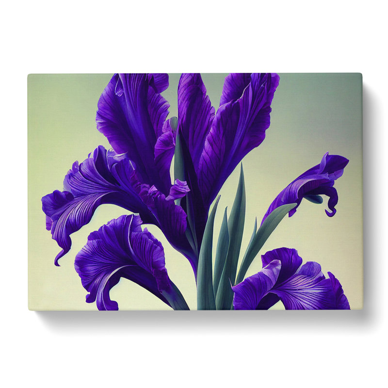 Inspiring Iris Flowers - Wrapped Canvas, 35cm H x 50cm W x 3cm D