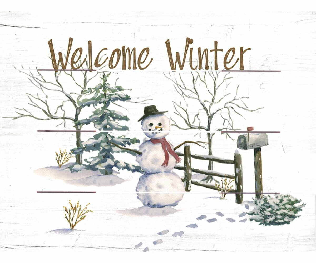 https://assets.wfcdn.com/im/43138826/compr-r85/9904/99042273/welcome-winter-decorative-accent.jpg