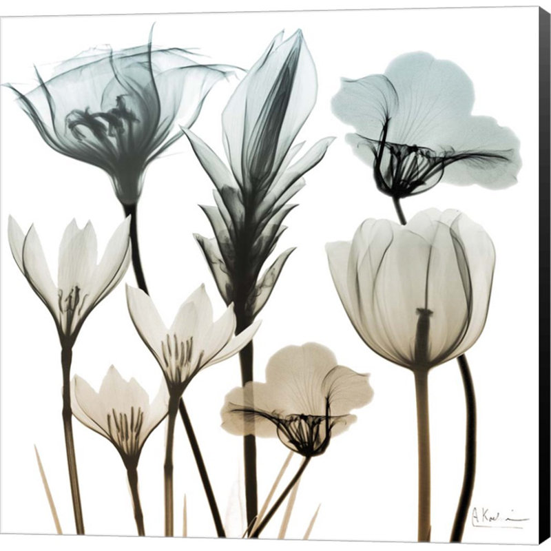 Plants & Flowers Wall Decor on Canvas