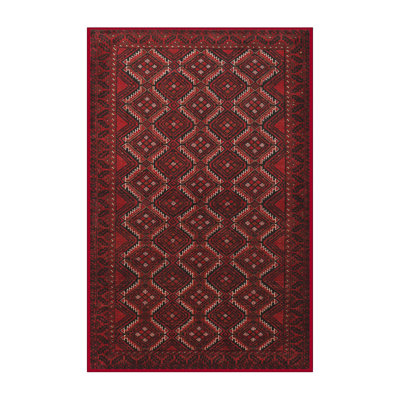 Southwestern Indoor Rug