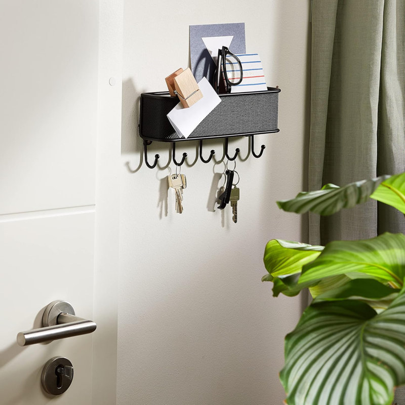 Aldwin Plastic Wall Organizer, Black