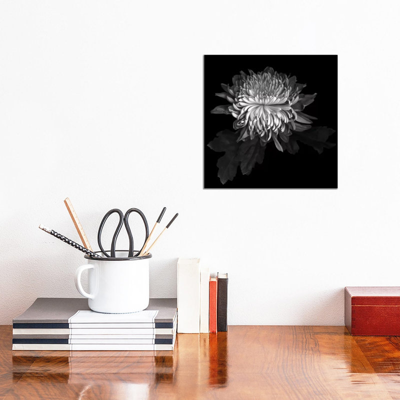 Chrysanthemum I, B&W 1 Piece Wrapped Canvas Wall Art, 30.48 cm H x 30.48 cm W