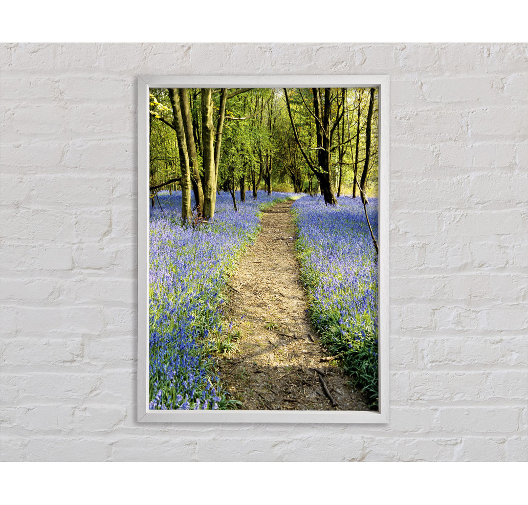 Bluebell Path - Einzelner Bilderrahmen Kunstdrucke auf Leinwand