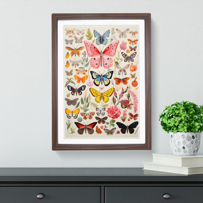 XYZ-FRM-V1223-4554 Moth Colour Field - Single Picture Frame Print on Wood
