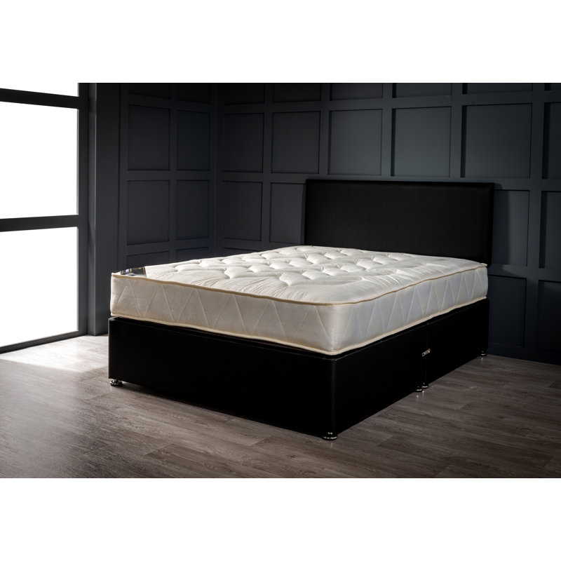 Palgrave Coil Spring Divan Bed Set, 2 Drawers, Mink Plush Velvet, Double (4'6)