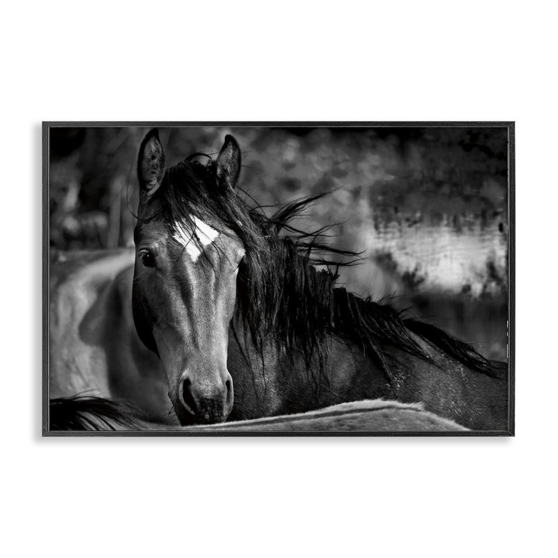 Giclée encadrée d'un cheval de présence, conception par Wendy Caro, H 12 po x l 18 po, Giclée encadrée noir minuit