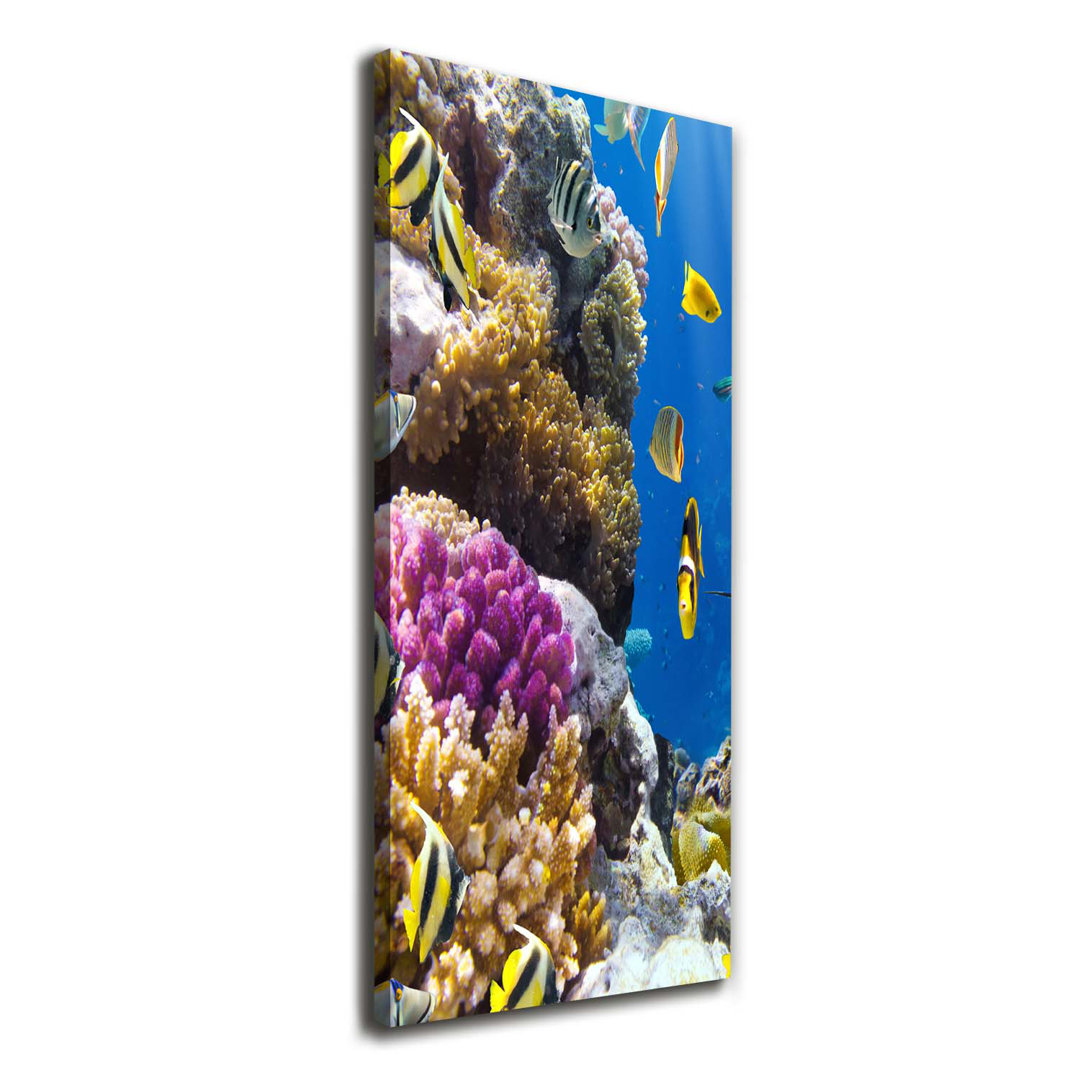 Coral Reef - Wrapped Canvas Print