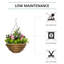 Lisianthus Hanging Basket Arrangement in Basket