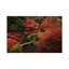 Autumn in Japan XII 1 Piece Wall Art on Canvas-290558898-290558906