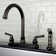 Naples Double Handle Kitchen Faucet with Side Spray