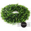 Couronne de verdure de porte d'entrée-63658162-128849662