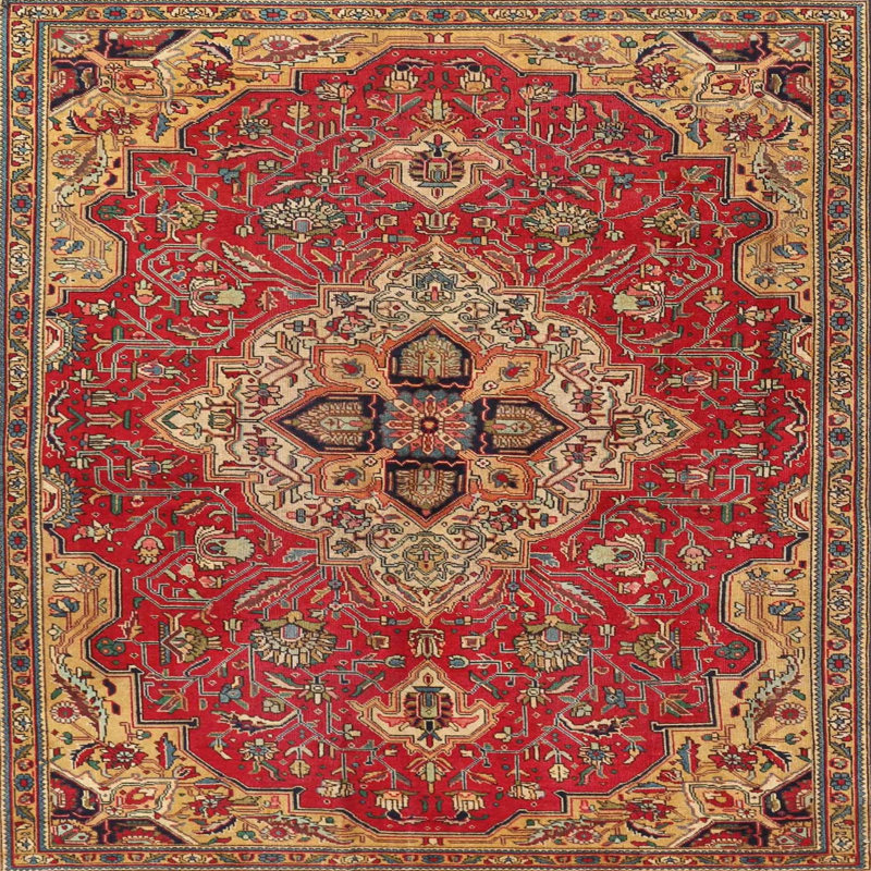 Chauncy Oriental Indoor Rug, Square 5'