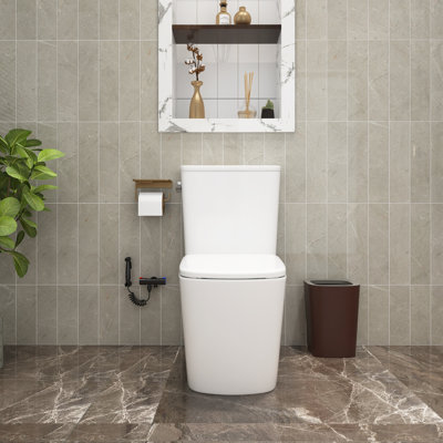 TCYO 1.28 Gallons GPF Elongated One-Piece Toilet (Seat Included)