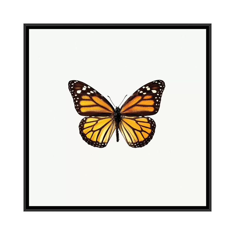 «Yellow Butterfly I», impression sur toile, H 18 po x l 18 po x P 1,5 po, Toile avec cadre noir