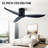 20.43'' Ceiling Fan
