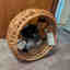 Customer photo 1 of 4