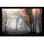 Autumn Woods I par - photographie-1434986066-1434986079