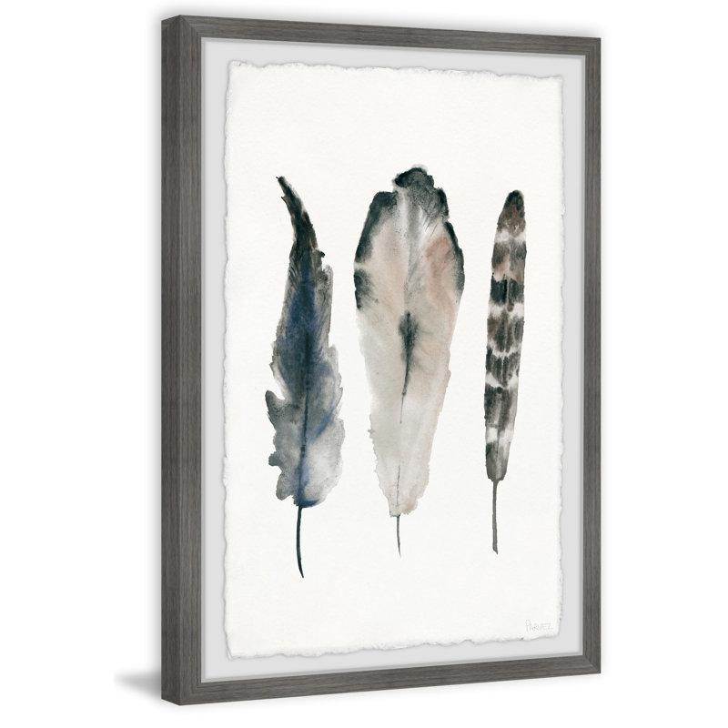 «Textured Feathers», reproduction encadrée, H 30 po x l 20 po x P 1,5 po