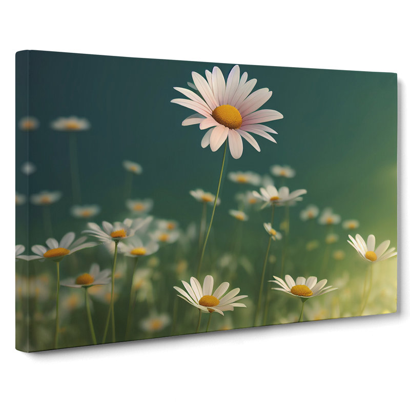 Beauteous Daisy Flowers - Wrapped Canvas, 50cm H x 76cm W x 3cm D