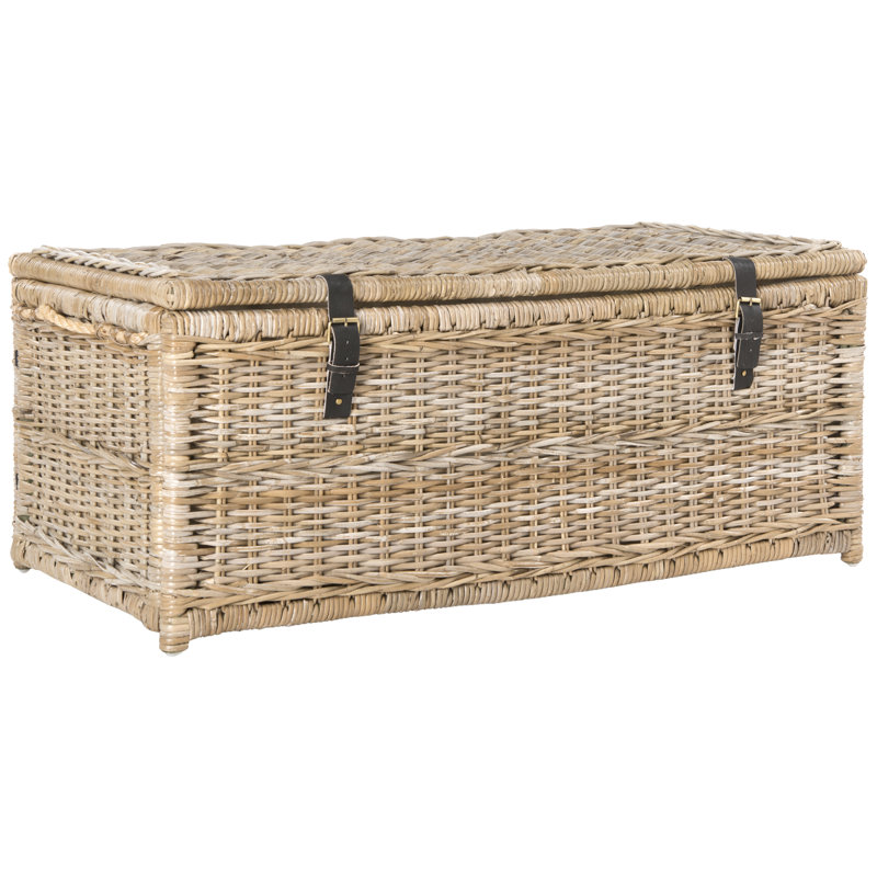 Caden 46" Wicker Storage Trunk, Natural
