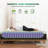 Memory Foam Mattress with Motion Isolation & Strong Edge Support-635427068-646778630