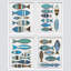 Coastal Charm-97782435-97782438