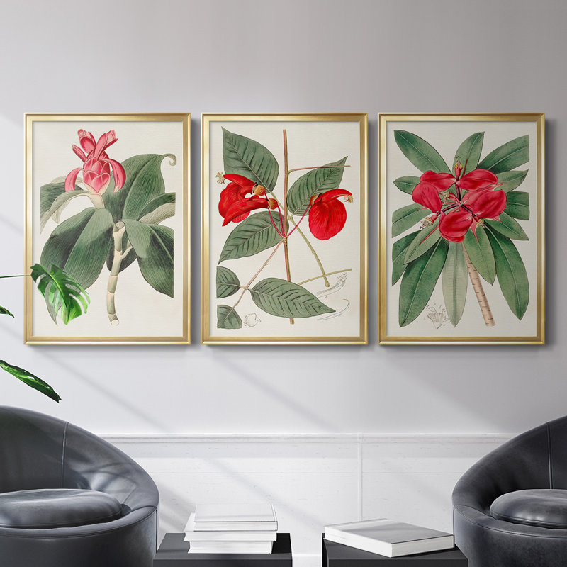 «Flora Of The Tropics I», toile encadrée de qualité supérieure - prête à être accrochée, H 42,5 po x l 61 po x P 2,5 po