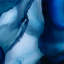 Tony Fey's Beyond The Blue Veil