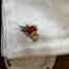 Photos des clients 1 de 2