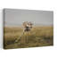 Girafe, art mural contemporain abstrait-807584654