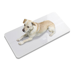 Pèse-personne numérique MAX 220 lb, échelle de poids pour chiens et chats, balance pour bébé