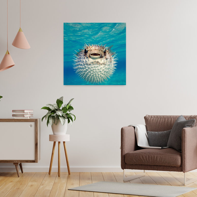 Close-Up Of A Puffer Fish Bahamas Contemporary Fish Art, 24" H x 24" W