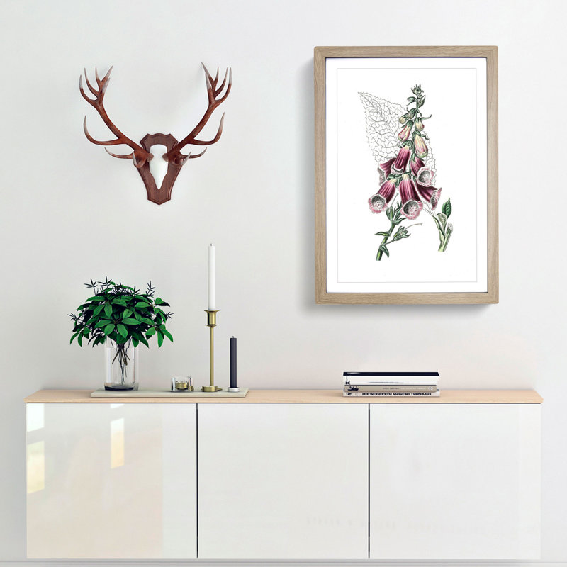 Foxglove Flowers Illustration - Framed Print, Oak Framed, 36cm H x 27cm W x 2cm D