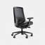 Ergonomic Chair Pro-1299345843-1299345841