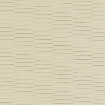 Pavilion Bella-Dura Indoor/Outdoor Wovens VI Fabric
