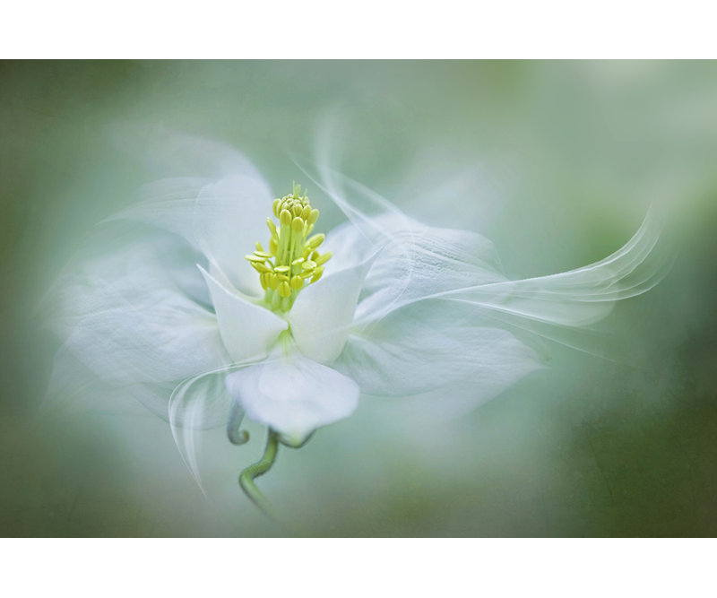 Wrapped Canvas Print, 50.8 cm H x 76.2 cm W