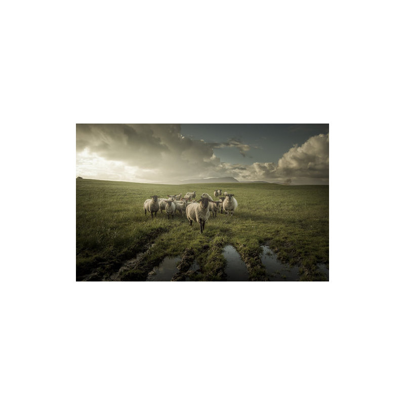 Wrapped Canvas Print