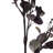 Eucalyptus Spray-902607461