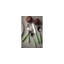 Fantasia Serving Spoon - 12 Pieces - Yellow-94556702