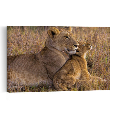 Tender Lioness Cub Contemporary Wall Art Print 1 Piece Wrapped Canvas Wall Art