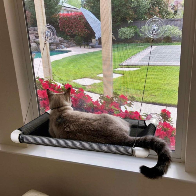 Lit pour animaux Eslyn, Moyen L 21,7 po x l 13,8 po