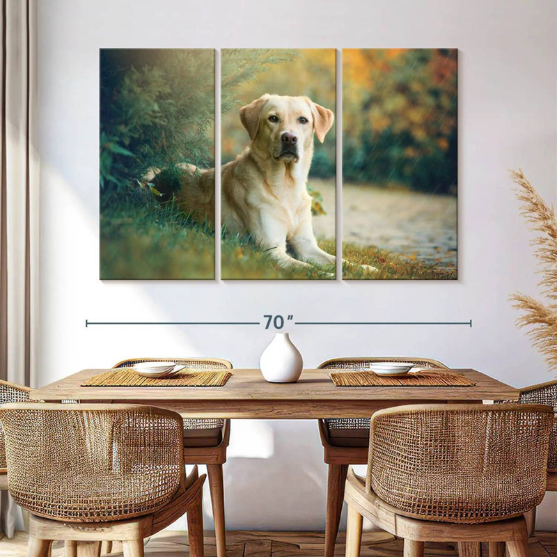 Brampt Labrador Retriever Mix, H 42 po x l 65 po