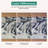 Immogene Indoor Rug-999204792