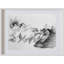 Limited Edition Prints "Home No.1 (Study For 'Herselves Series')" By Fanyu Lin