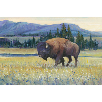 Animals Of The West II by Tim OToole - Wrapped Canvas Print