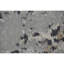 Animal Print Area Rug-70085240