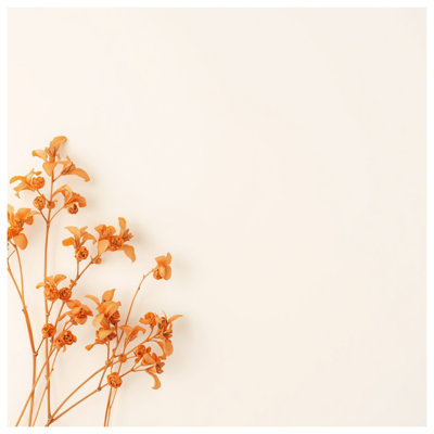 Toile tendue avec fleurs orange séchées dans de nombreuses tailles