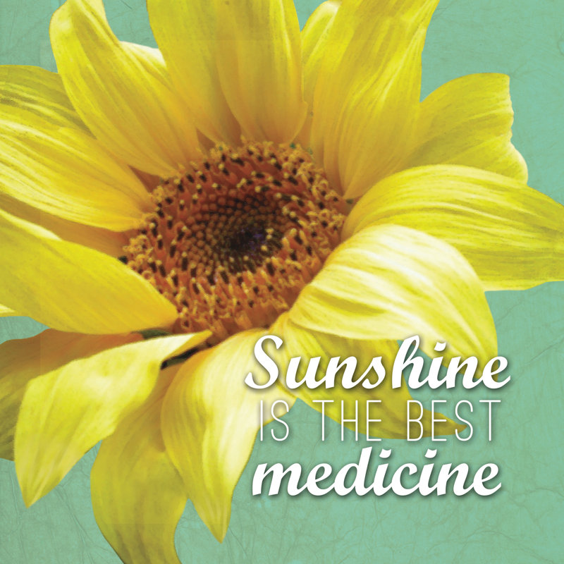 Sunflower Quote - Wrapped Canvas Print, 91cm H x 91cm W x 3.8cm D
