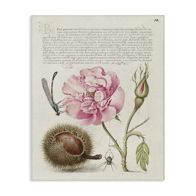 Art antique par Joris Hoefnagel