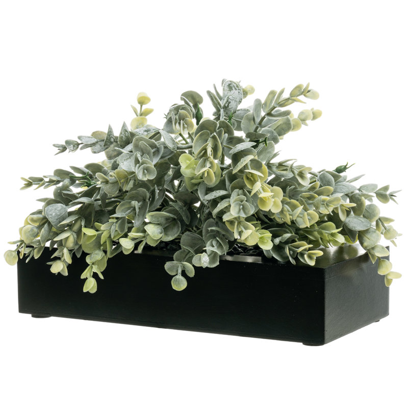 Pot d'eucalyptus artificiel noir